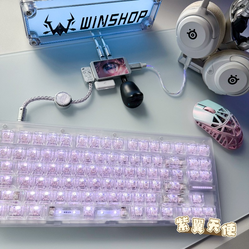 WINSHOP Esports HUB Hub USB do - Desk Setup Aesthetic avis et prix